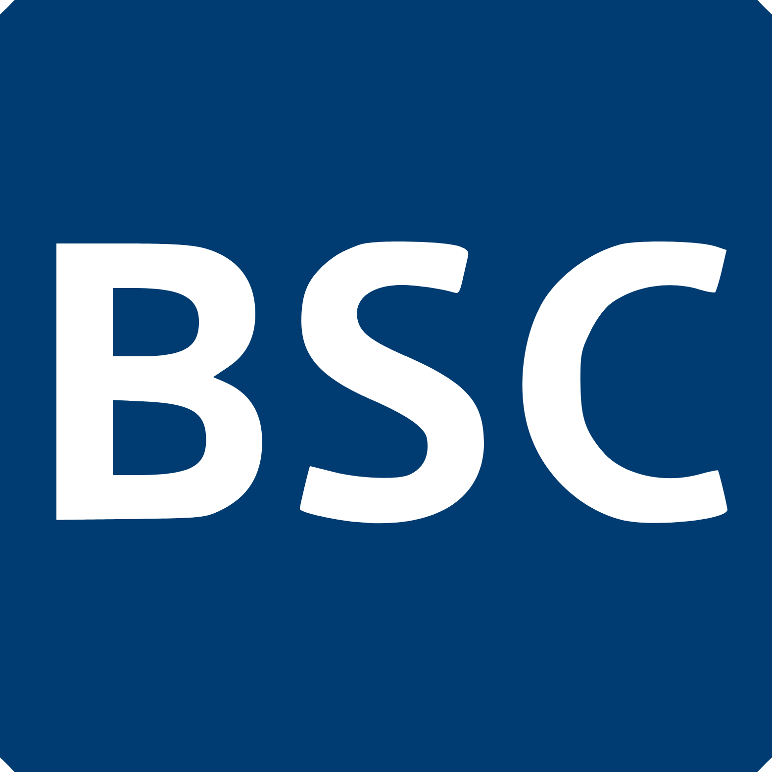 Boston Scientific